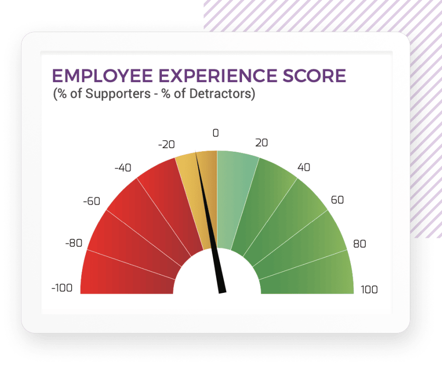 Experience Score iPad