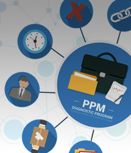 Ppm Programme IT Strategy, IT Performance Improvement Program | McLean & Company